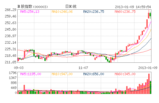 B股指數(shù)整體回調(diào) 閩燦坤一枝獨秀仍漲停