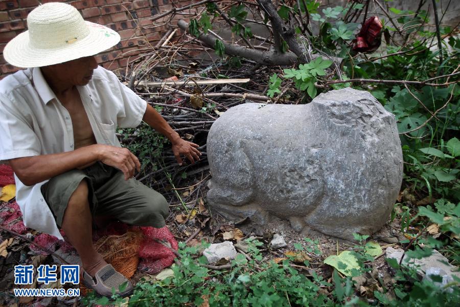 朝陽鎮(zhèn)后李村業(yè)余文保隊(duì)員，今年65歲的李連堂在上世紀(jì)平整土地時(shí)候，從地里挖出一個(gè)石羊殘身，至今仍放在