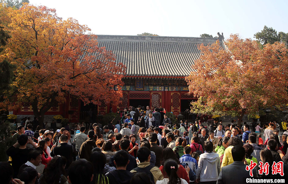 　10月26日，北京香山公園內(nèi)游客摩肩接踵。