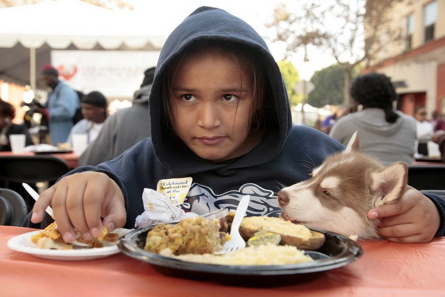 11月21日，加州洛杉磯的游民巷，12歲的堂娜·赫南德茲抱著愛犬“湯米”，安靜地吃著免費(fèi)的感恩節(jié)飯菜