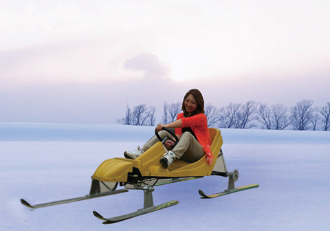 尖叫·極品雪地車