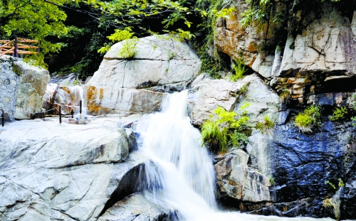 避暑五朵山在低10℃的夏天縱享清涼!