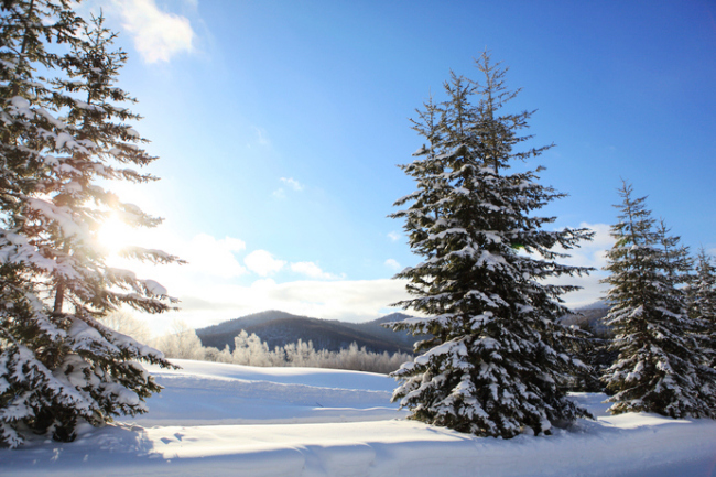 北海道的粉雪誘惑