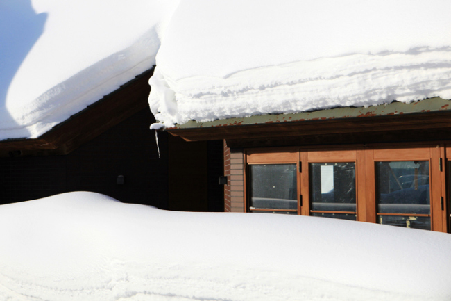 北海道的粉雪誘惑