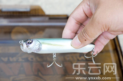 　　又稱擬餌釣魚(yú),起源于歐洲,國(guó)內(nèi)翻譯為“路亞”。