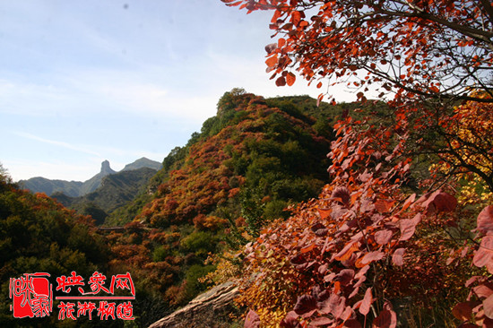 2013第七屆中國·邢臺(tái)九龍峽金秋紅葉節(jié)