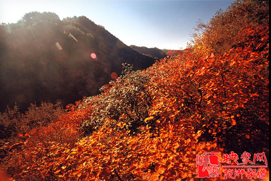 2013第七屆中國·邢臺(tái)九龍峽金秋紅葉節(jié)