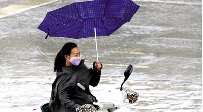 昨日下午，隴海路上，雨中風大，一位女士的傘被吹翻了。