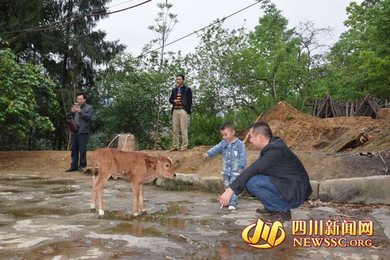 村里人知道后，前來看熱鬧