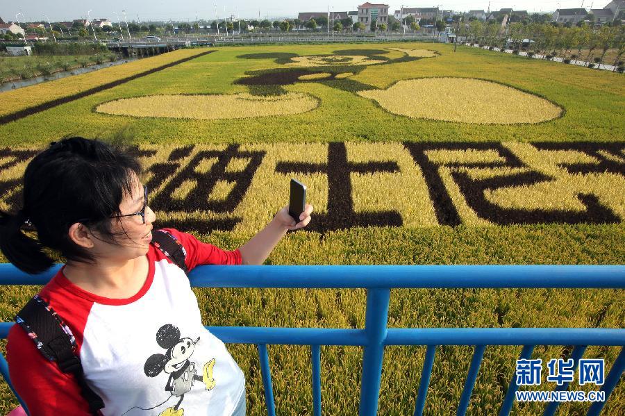 10月25日，游客在觀景臺(tái)上觀賞“米老鼠”稻田畫。