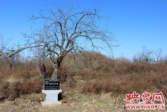 在叔齊墓的前面，豎著新鄭市人民政府今年剛立的石碑，上面寫著“新鄭市文物保護單位”。