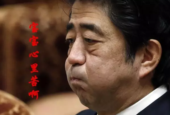 這種看安倍“熱鬧”的事兒，環(huán)環(huán)絕不私藏，一定雨露均沾!