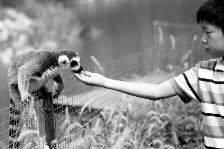 豫學(xué)生拿高考準(zhǔn)考證半價(jià)游動(dòng)物園